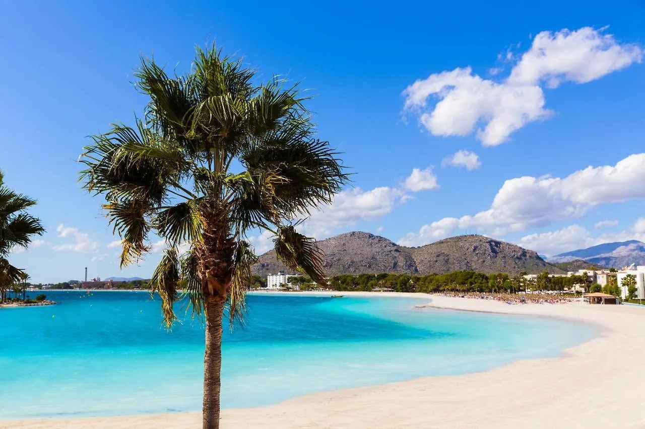 Bonito Apartamento Con Piscina A 500M De La Playa Port d'Alcúdia Apartmán